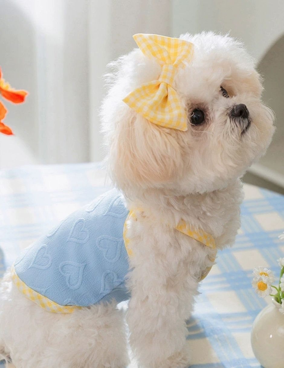 Vestido para perro 2