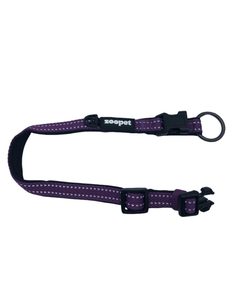 Collar para perro 3