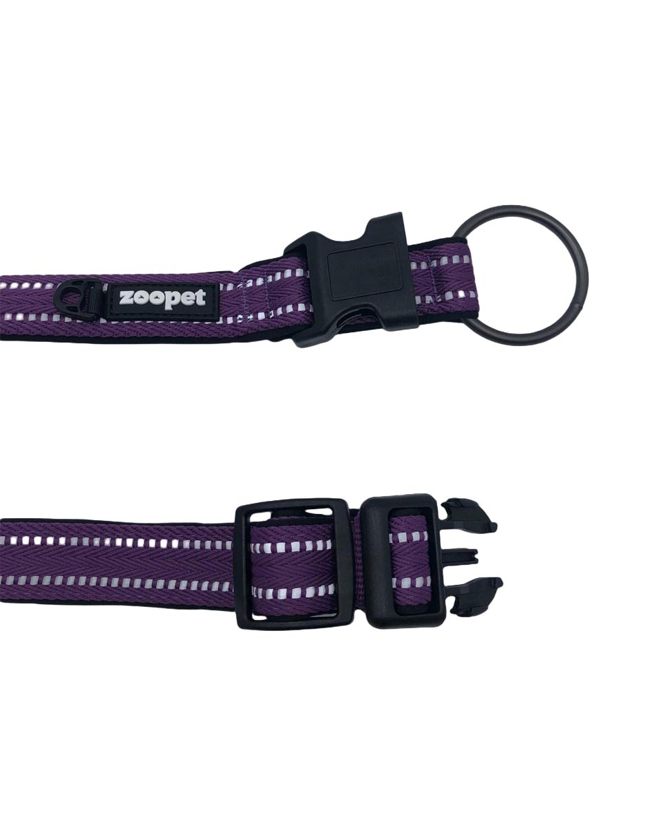 Collar para perro 3