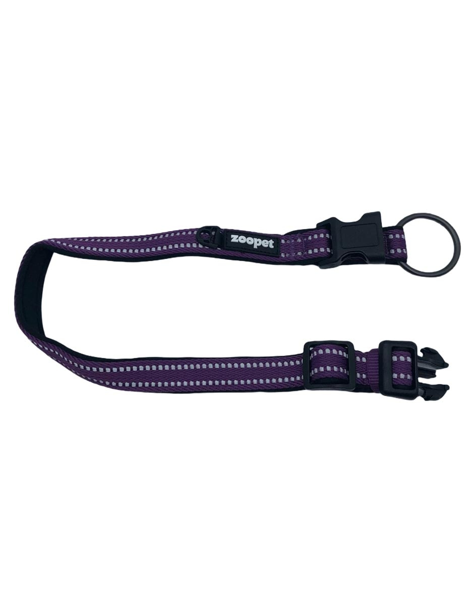 Collar para perro 2