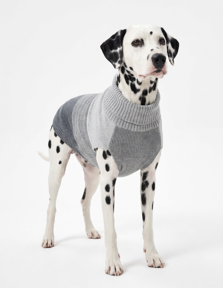 Suéter para perro Suéter para perro