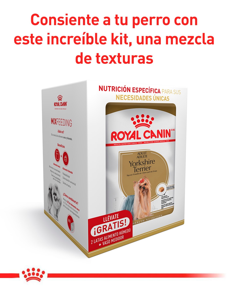 Alimento húmedo original para perro etapa adulto contenido 3 piezas