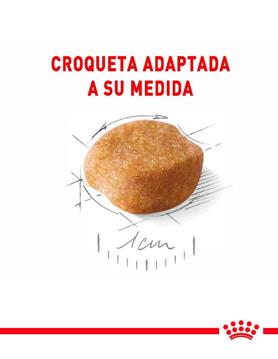Alimento húmedo original para perro etapa senior contenido individual 1.1 Kg 3