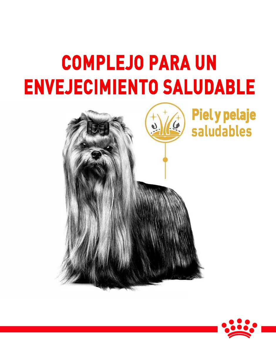 Alimento húmedo original para perro etapa senior contenido individual 1.1 Kg 5