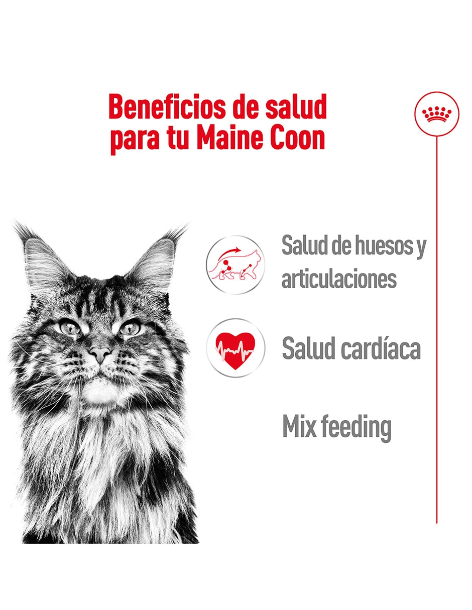 Croqueta original para gato etapa adulto contenido individual 85 g