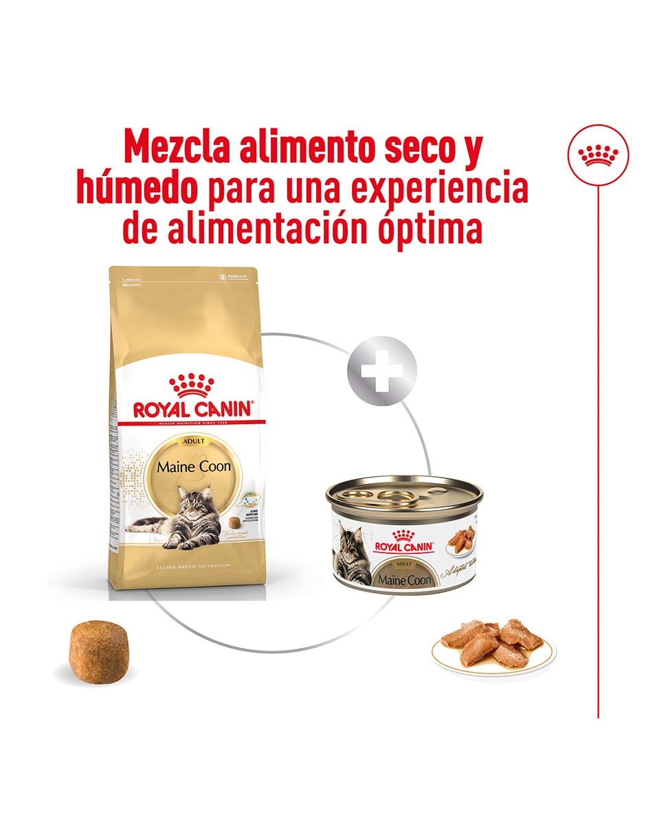 Croqueta original para gato etapa adulto contenido individual 85 g 3