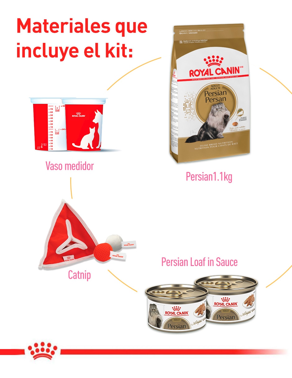 Kit croqueta y húmedo Royal Canin original para gato etapa adulto contenido 3 piezas