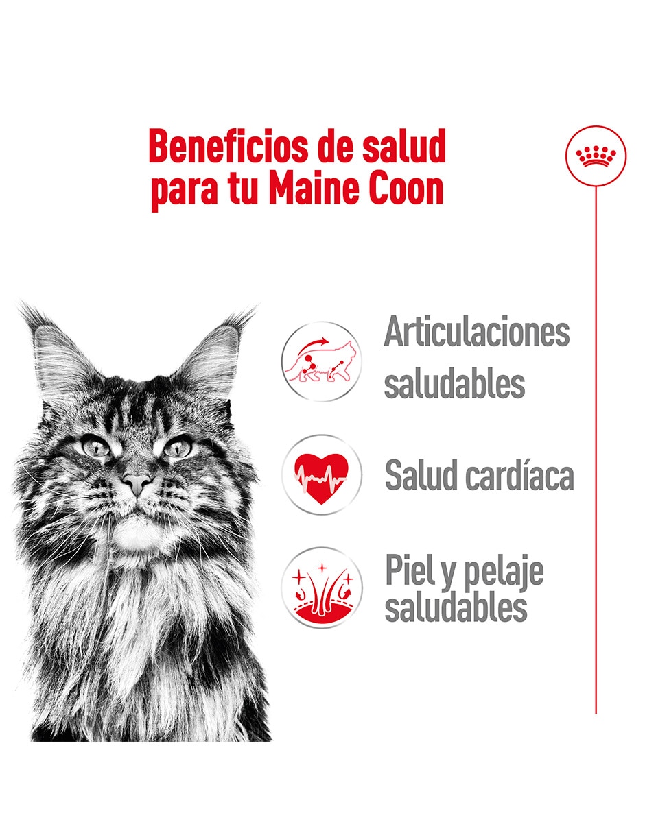 Croqueta original para gato etapa adulto contenido individual 6.36 Kg