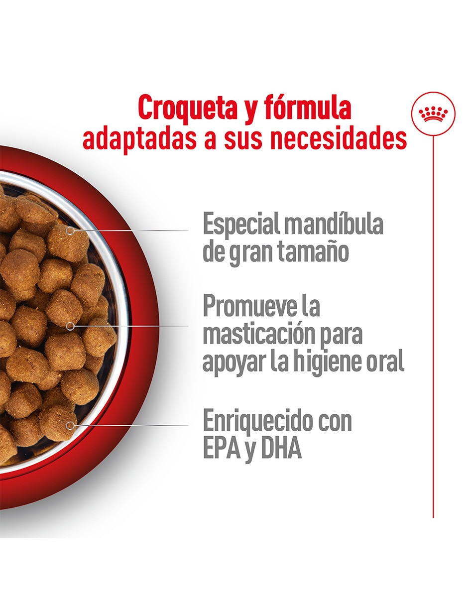 Croqueta original para gato etapa adulto contenido individual 6.36 Kg 3
