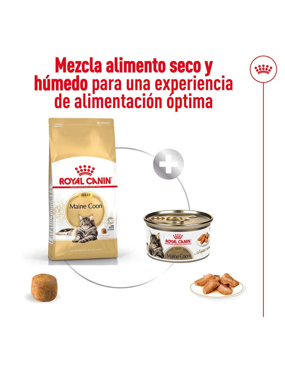 Croqueta original para gato etapa adulto contenido individual 6.36 Kg 4