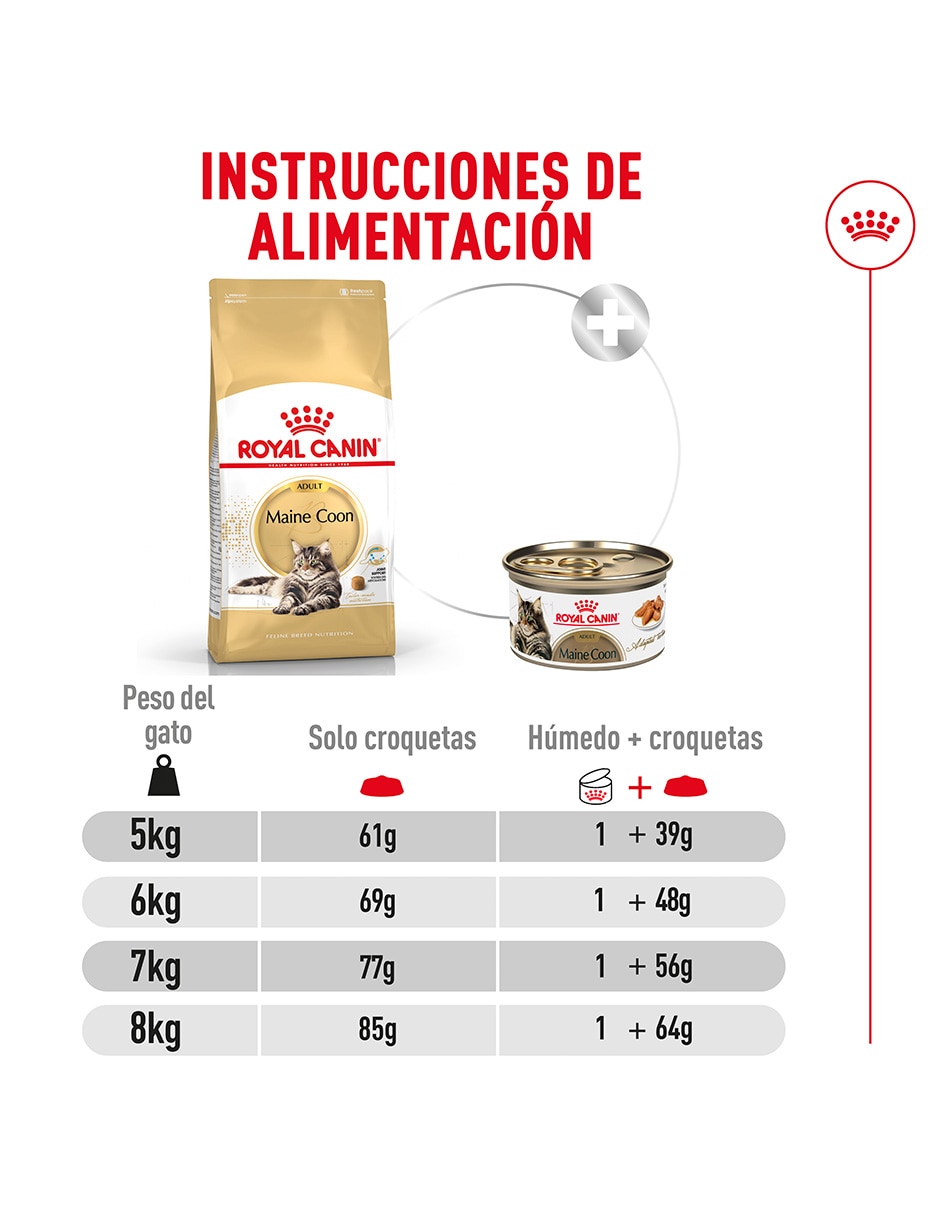 Croqueta original para gato etapa adulto contenido individual 6.36 Kg 6