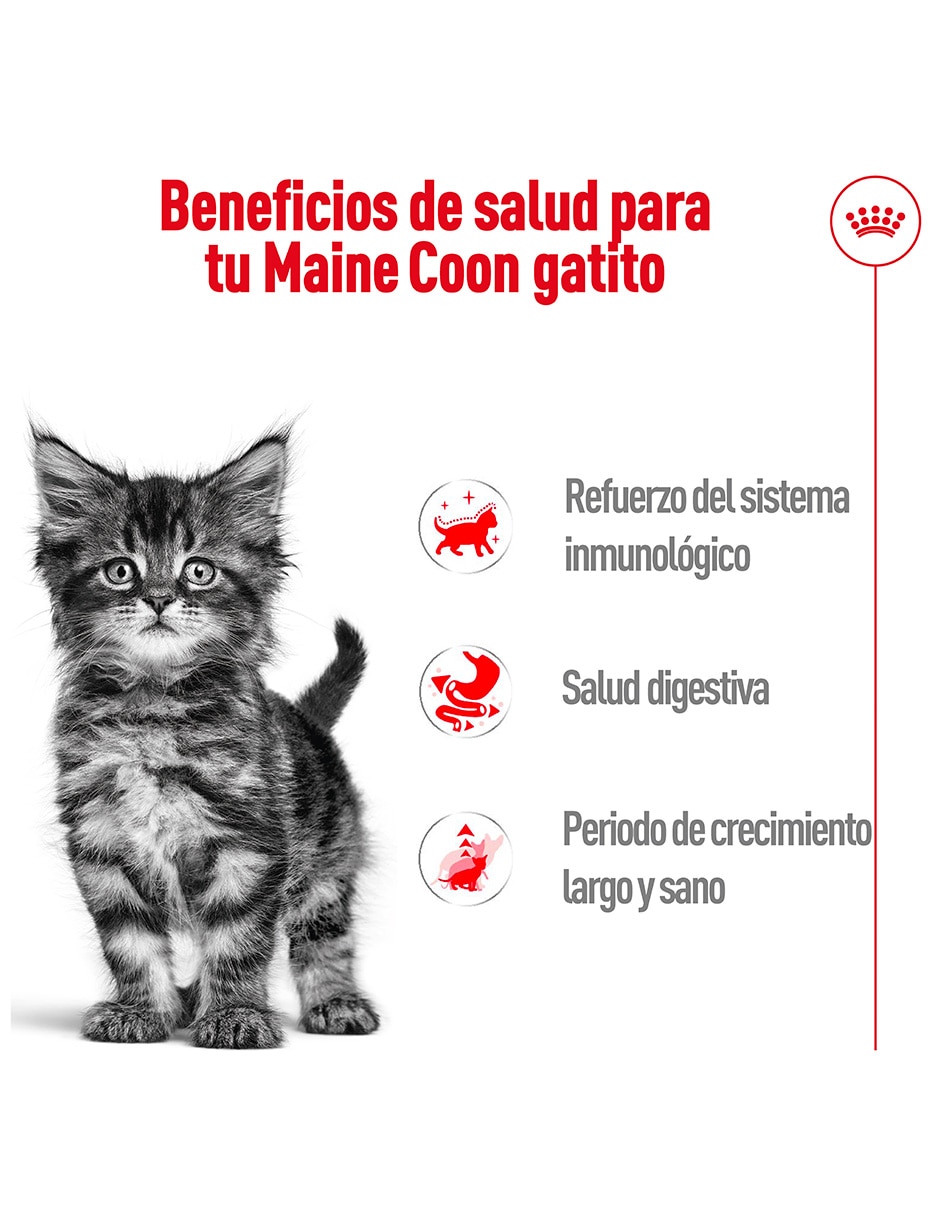Croqueta original para gato etapa cachorro contenido individual 1.36 Kg