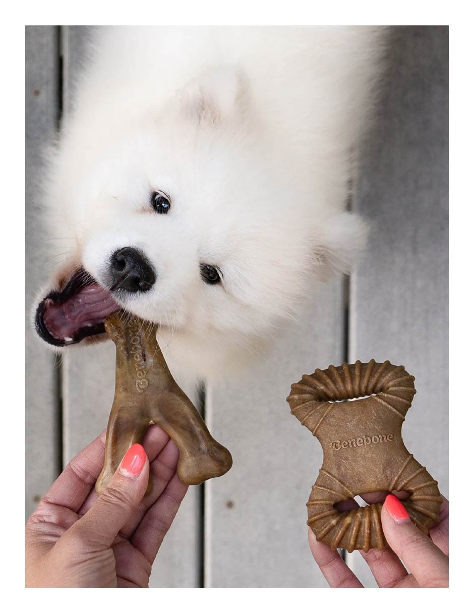 Juguete dental para perro 3