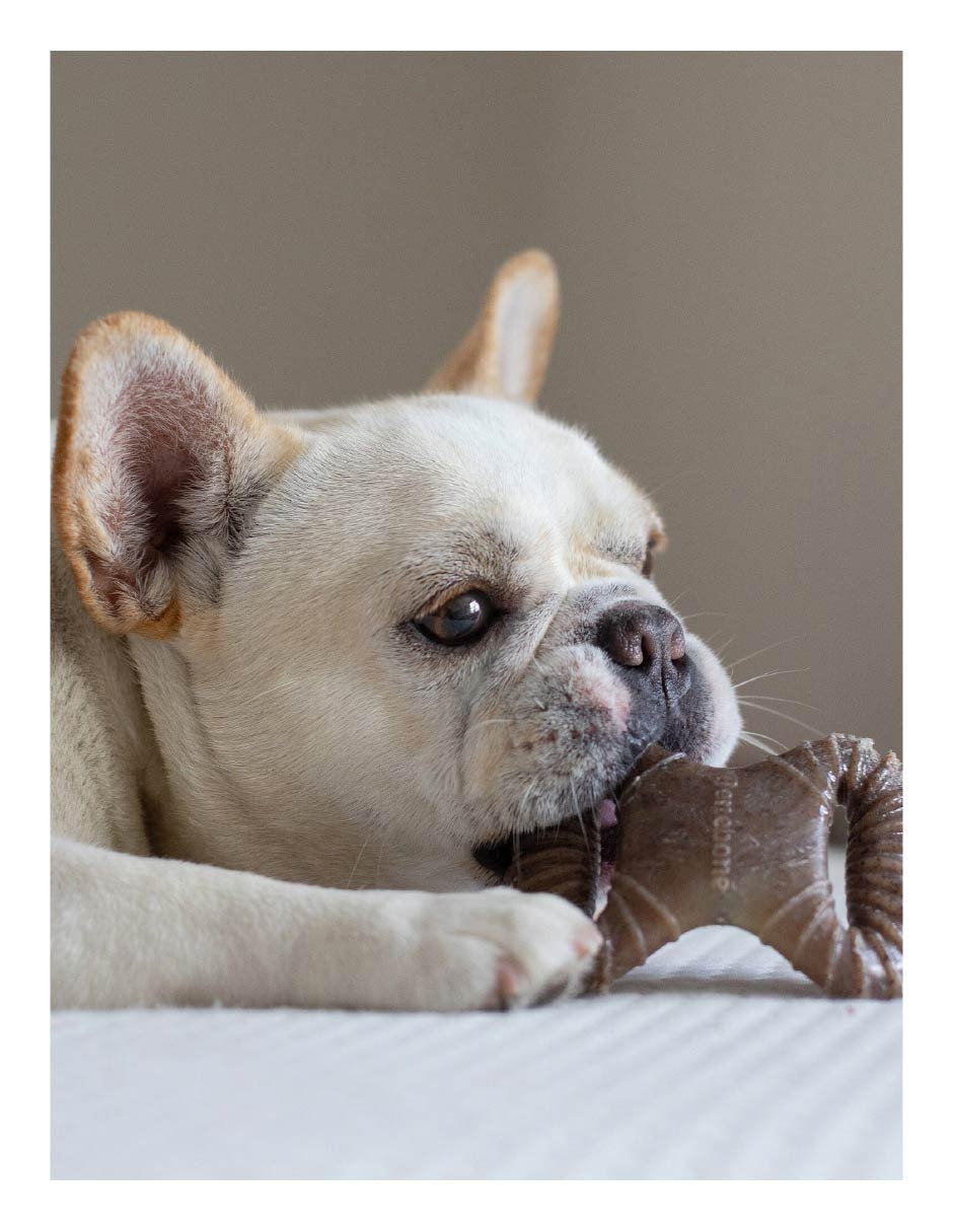 Juguete dental para perro 5