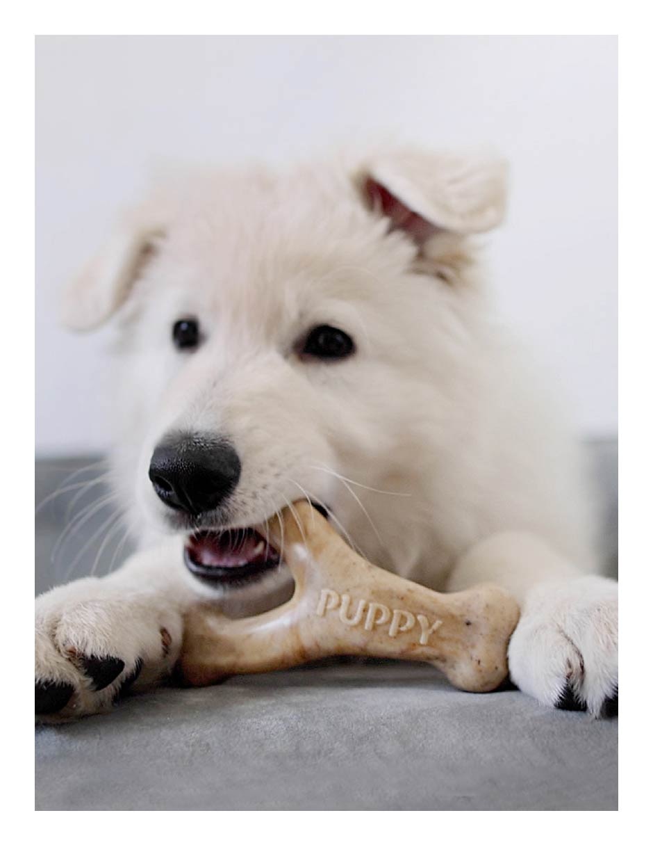 Juguete dental para perro 3