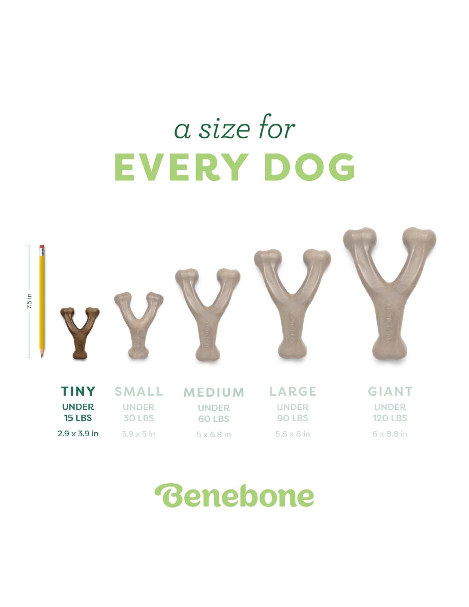 Juguete dental para perro 4