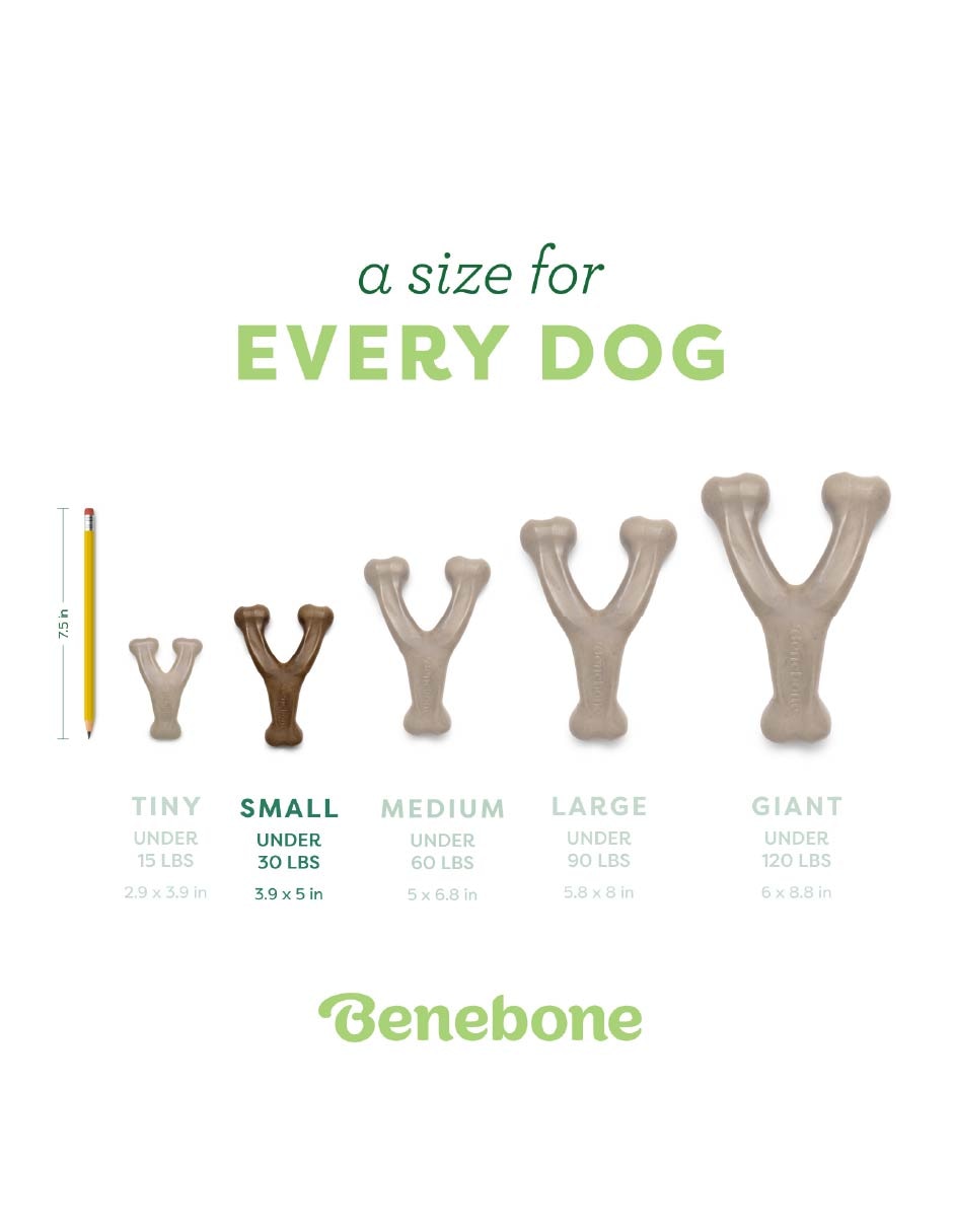Juguete dental para perro 4