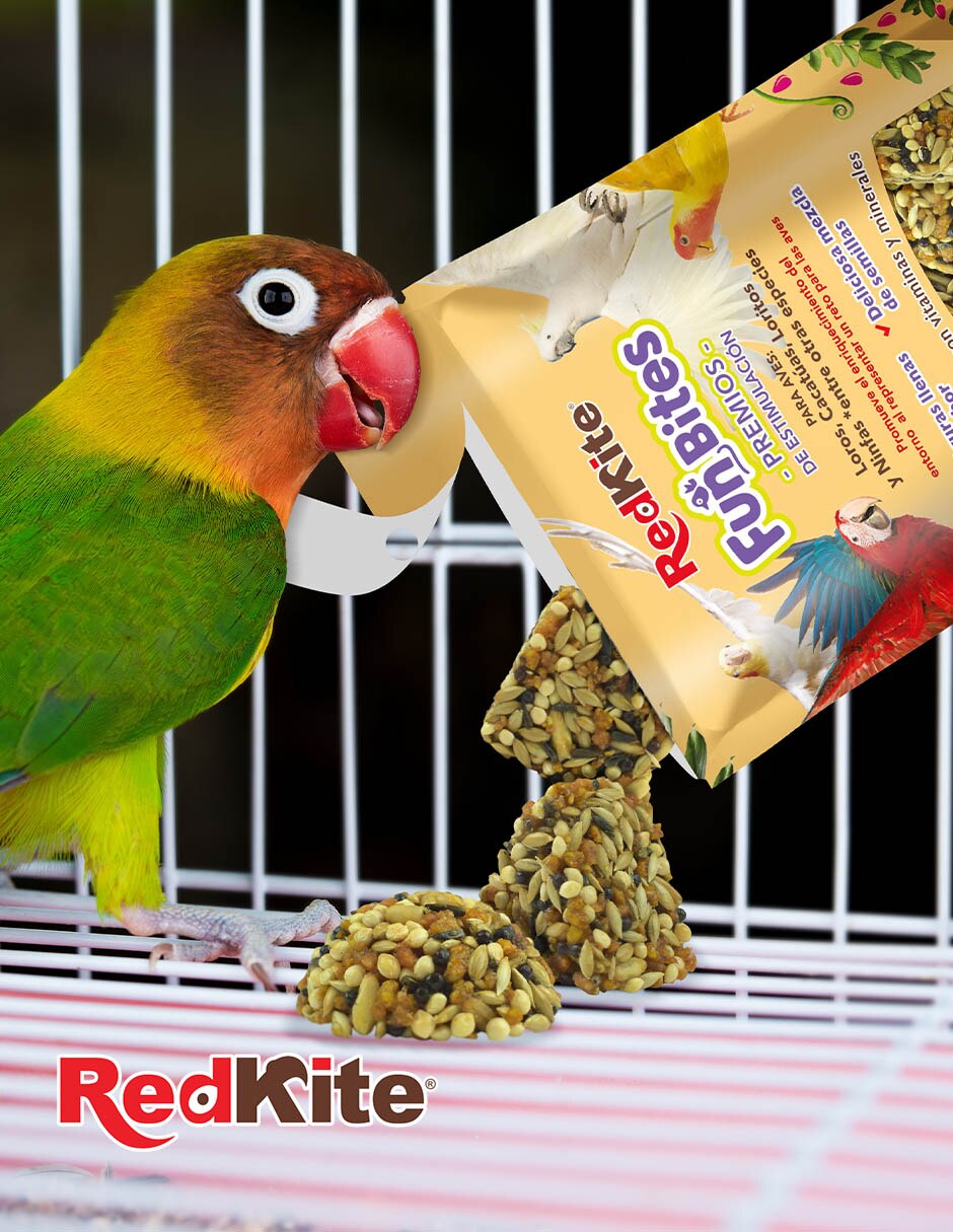 Semillas Redkite para aves todas las etapas 2
