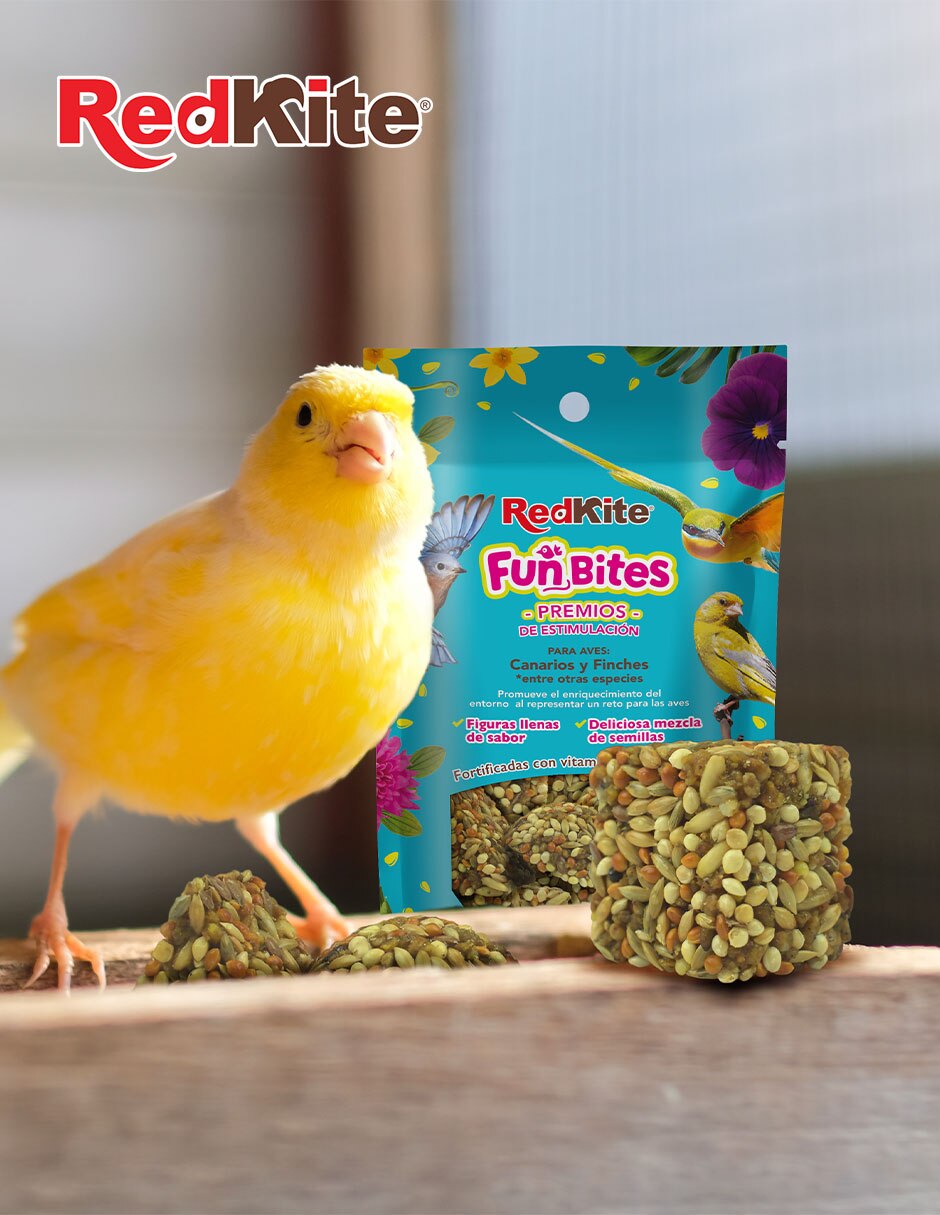 Semillas para aves 2