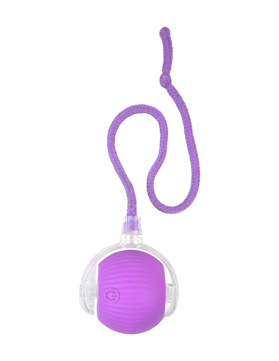 Juguete interactivo para gato