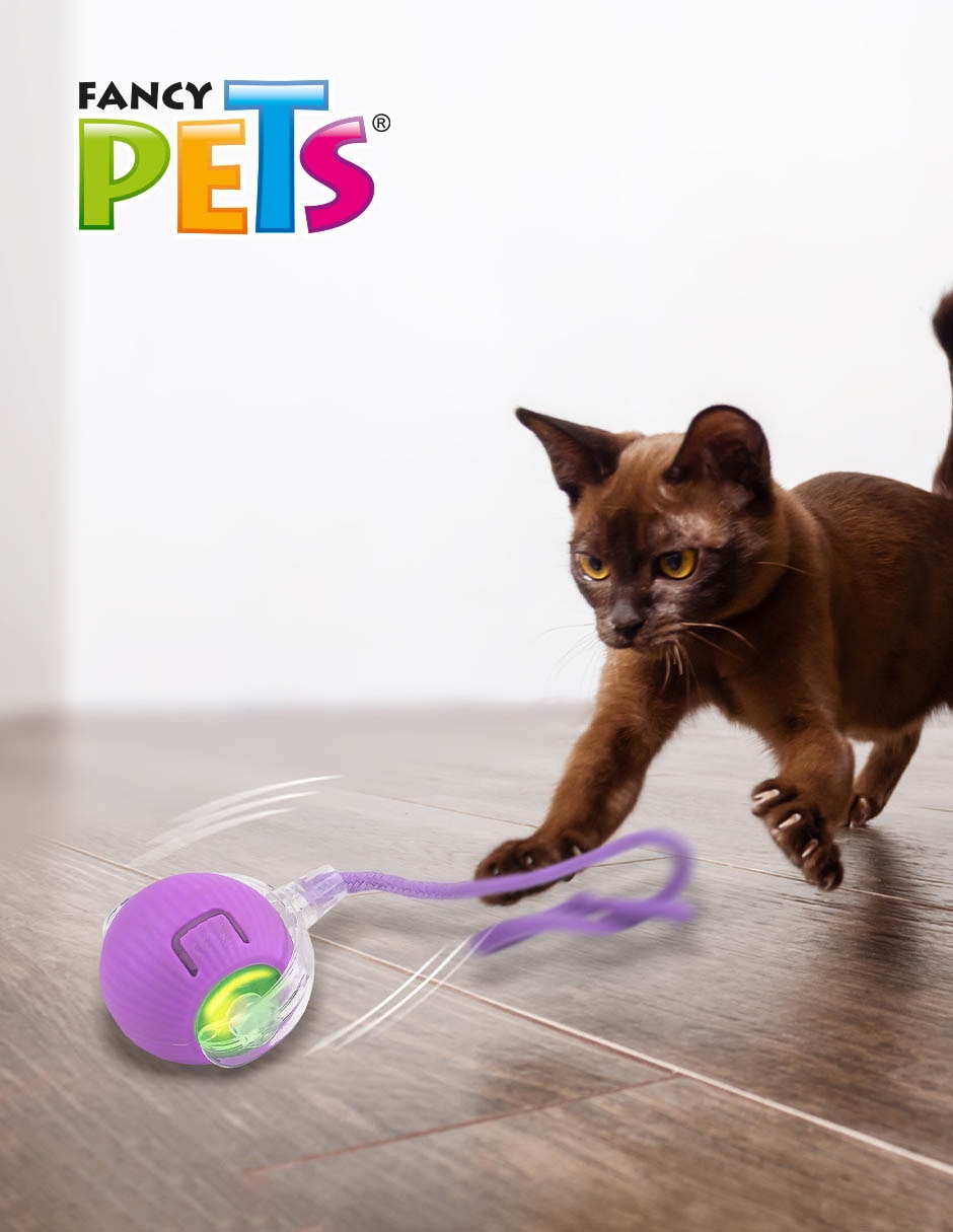Juguete interactivo para gato 2