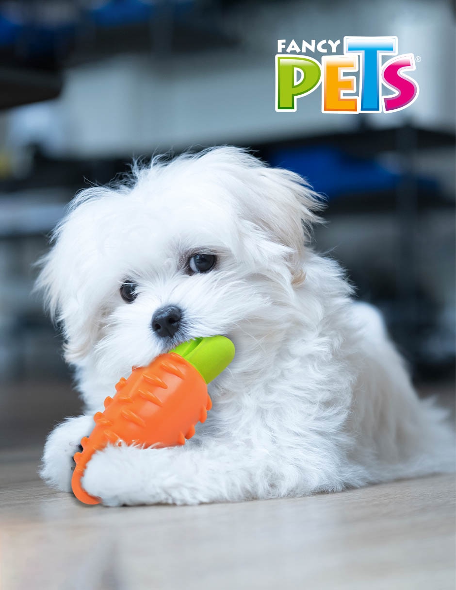 Juguete para perro 2