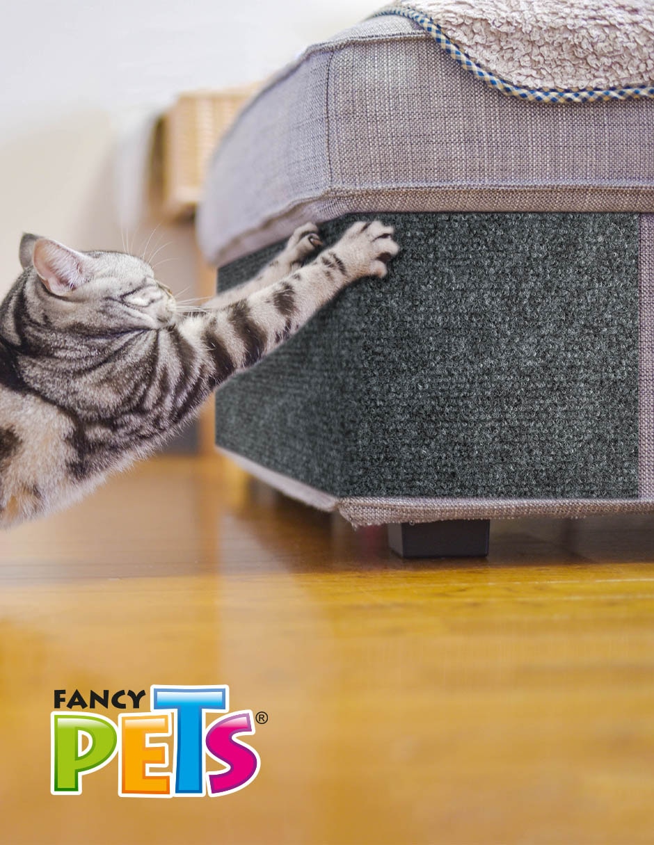 Rascador para gato 2