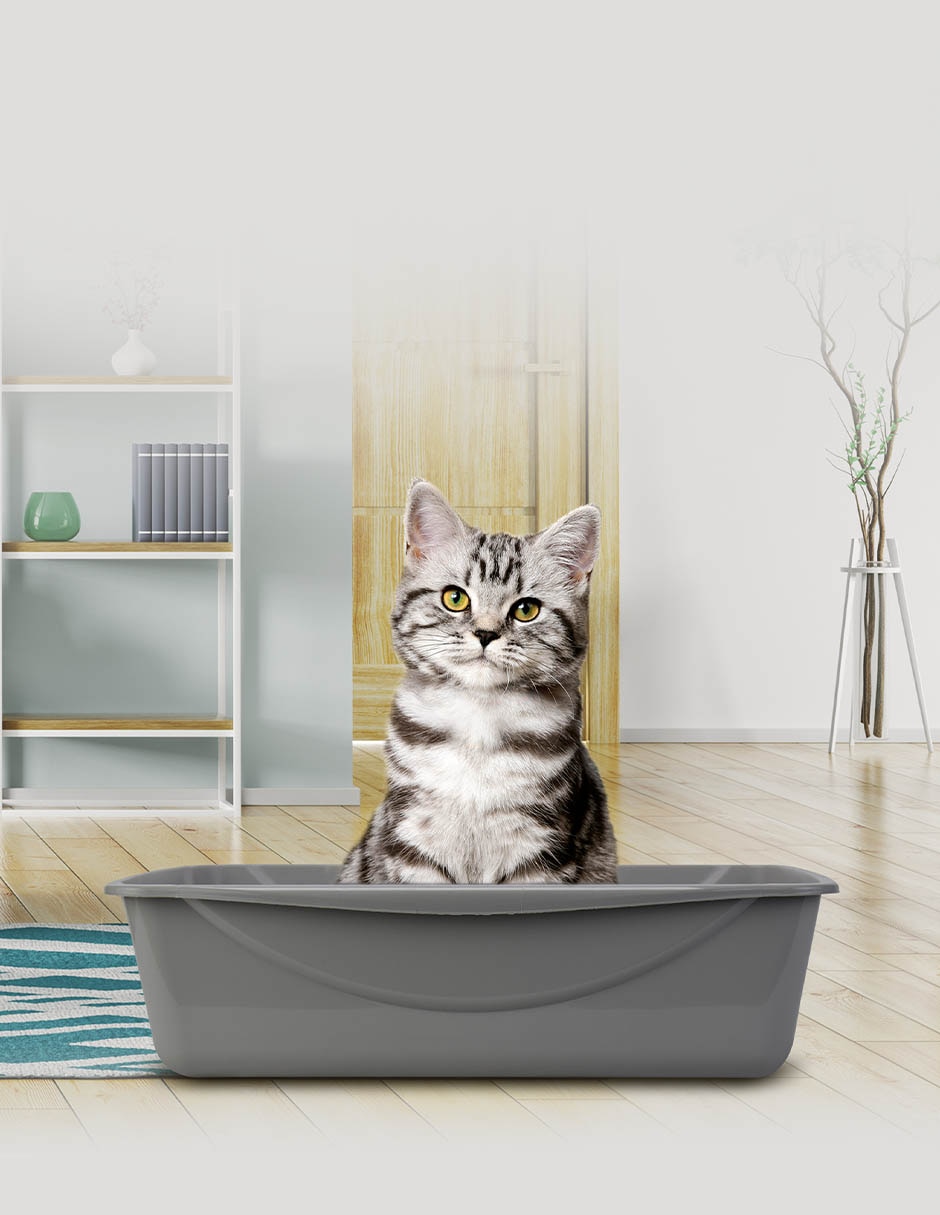 Arenero PETMATE para gato 2