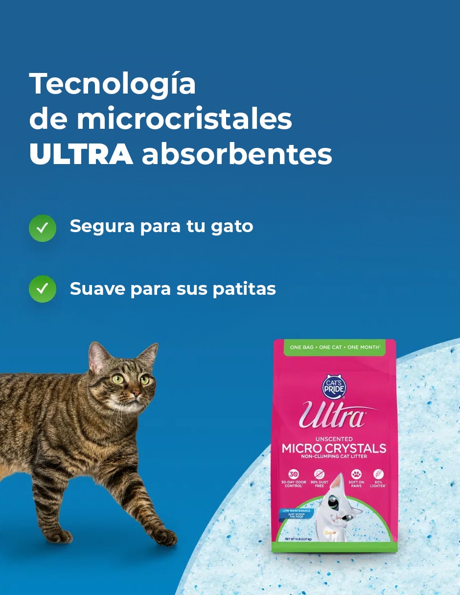 Set Arena 4