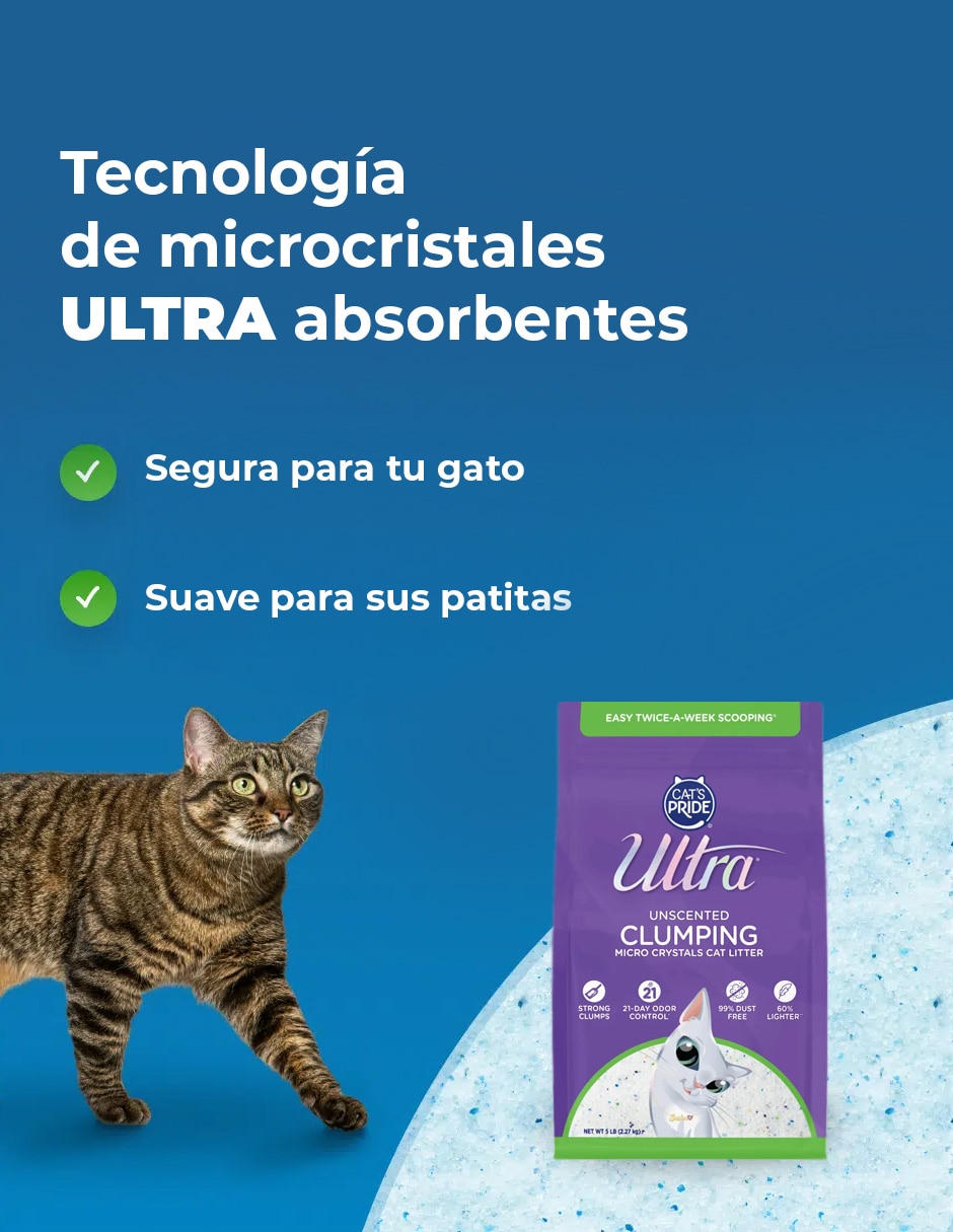 Set Arena 4