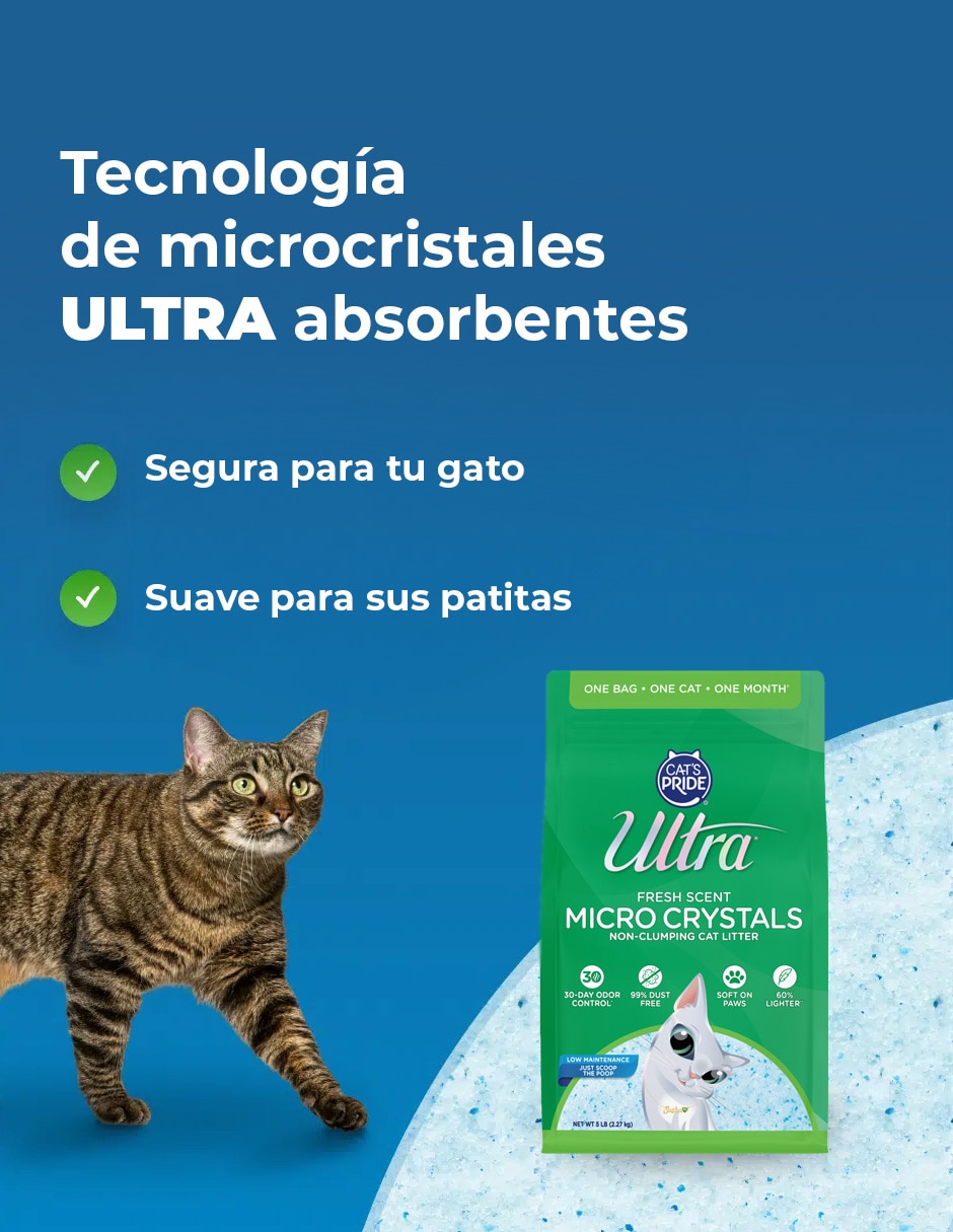 Set Arena 4
