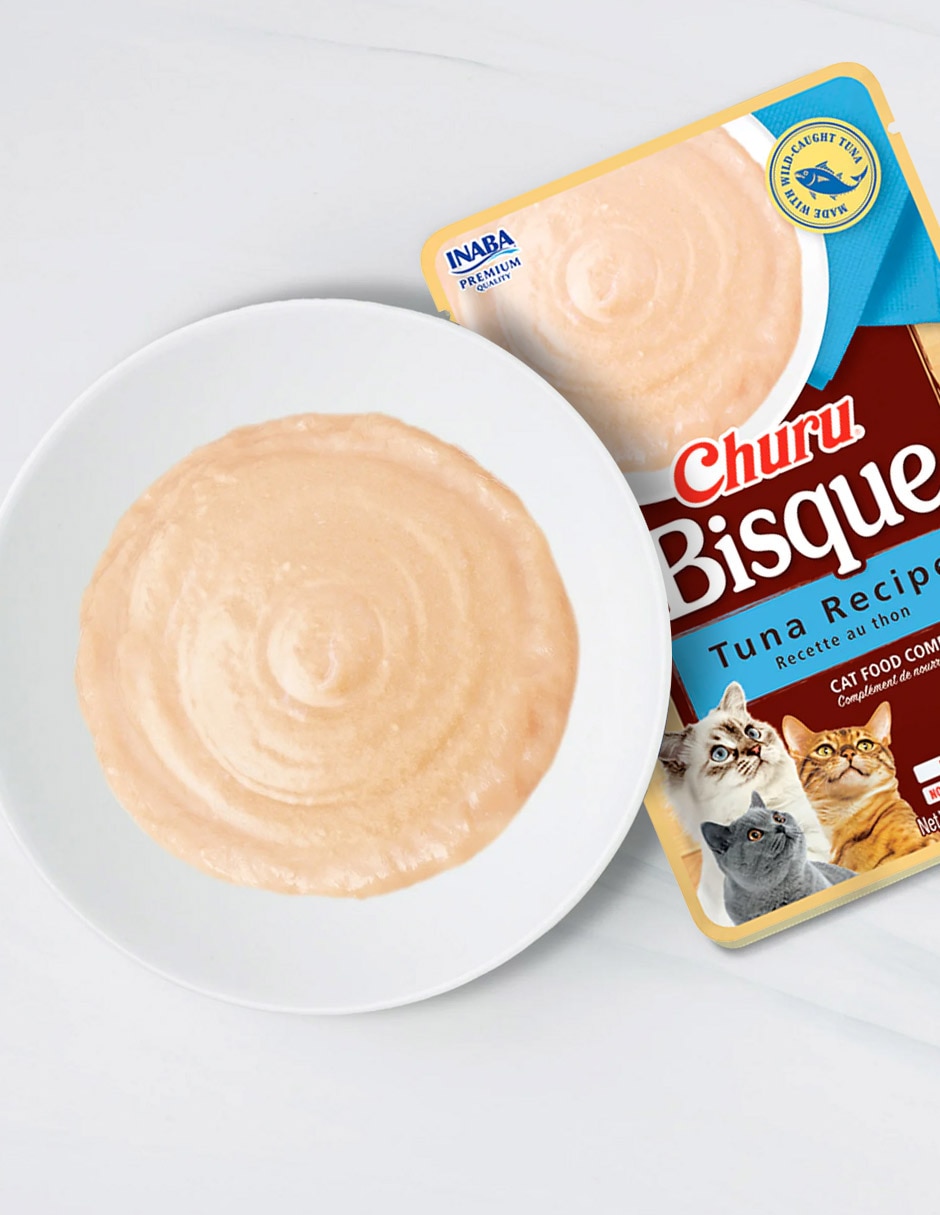 Premio para Gato 2