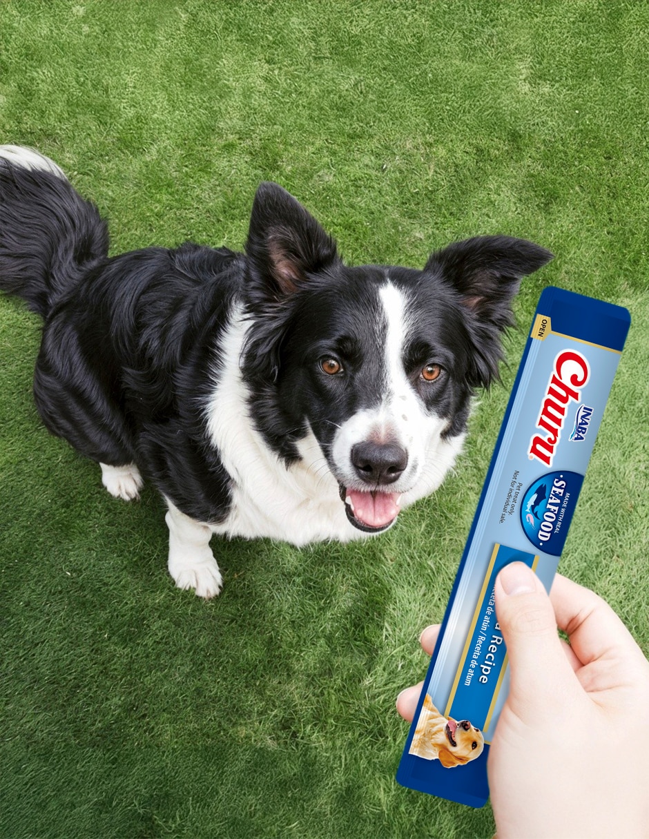 Premio para perro 3