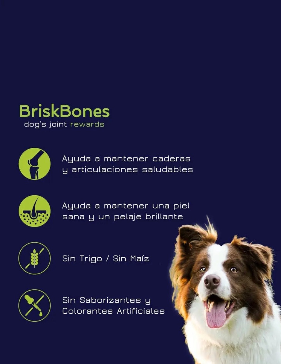 Colágeno para mascotas 5