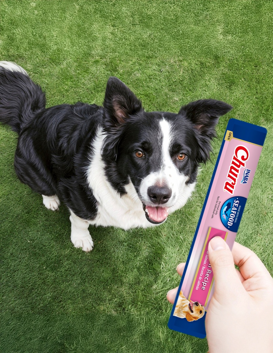 Premio para perro 3