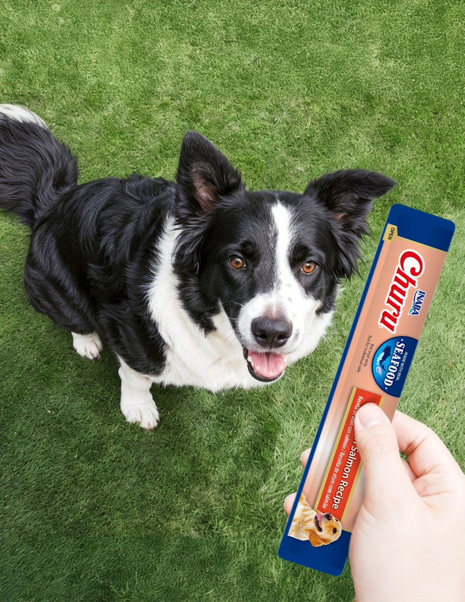 Premio para perro