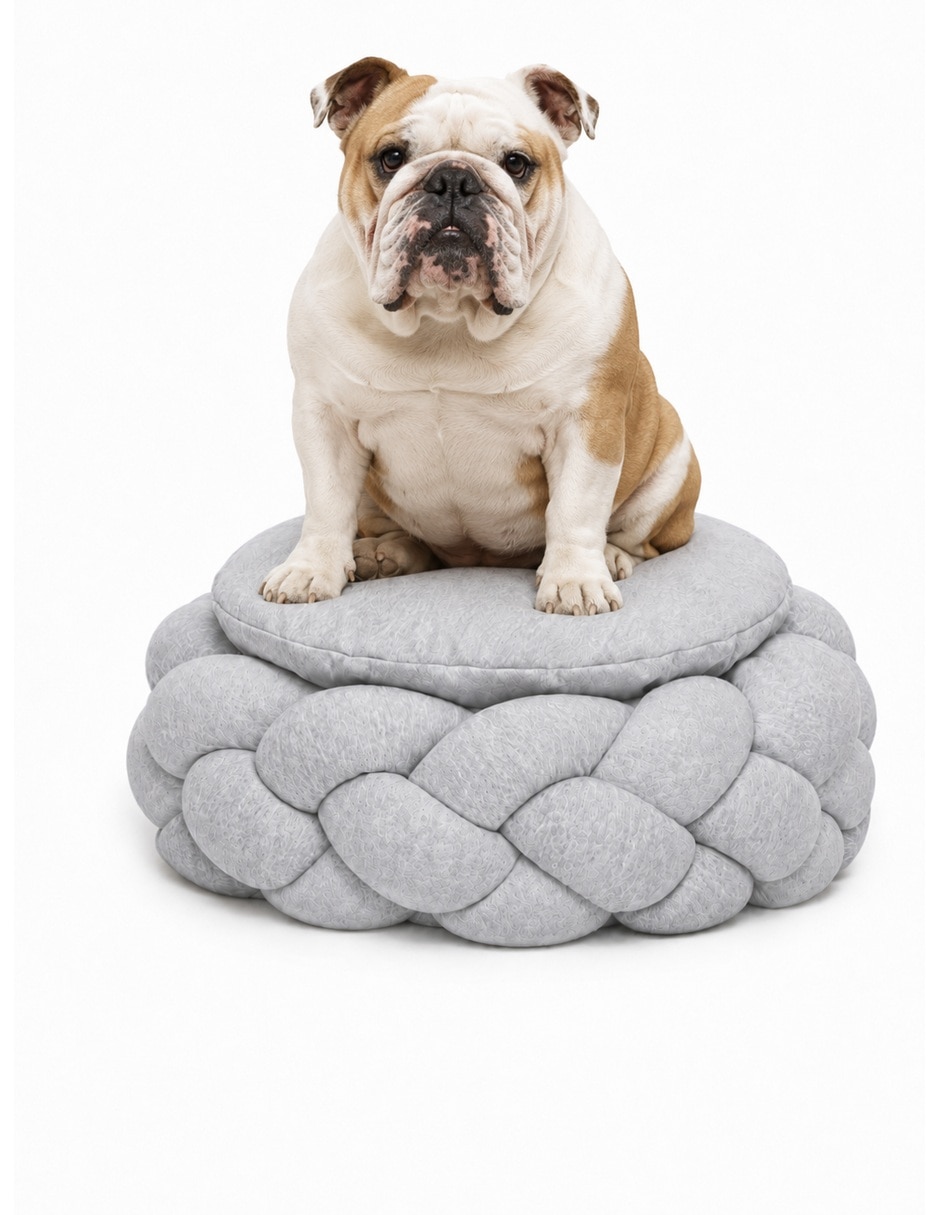 Colchón para mascota para perro y gato 1