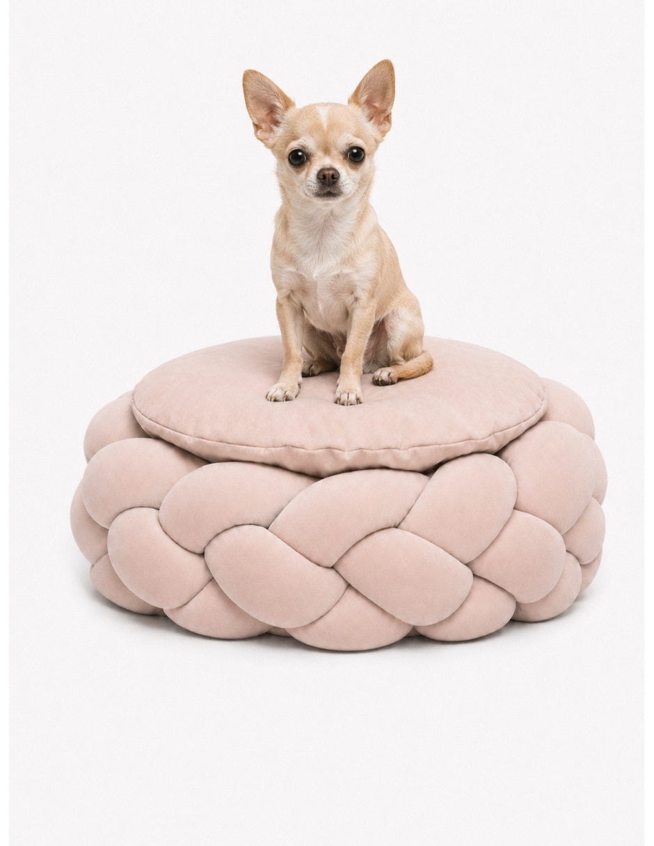 Colchón para mascota para perro y gato Colchón para mascota para perro y gato