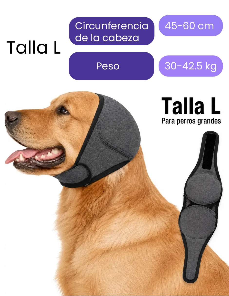 Disfraz para perro