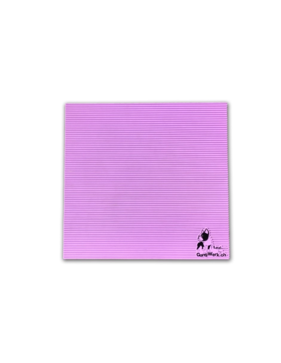 Kit de bienestar para mascota