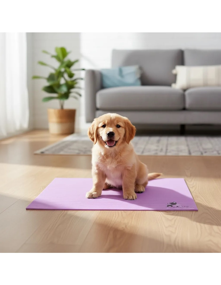 Kit de bienestar para mascota