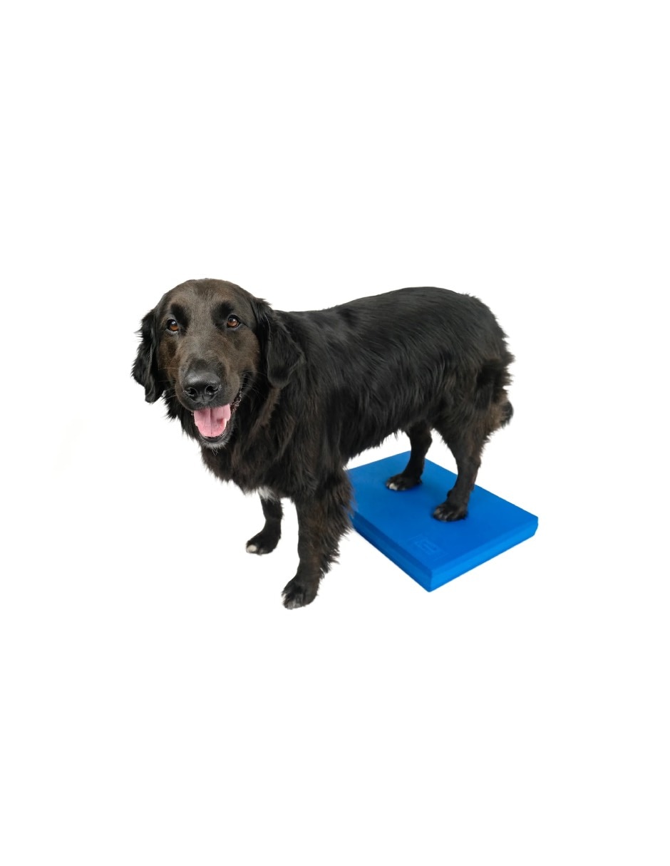 Kit de bienestar para mascota