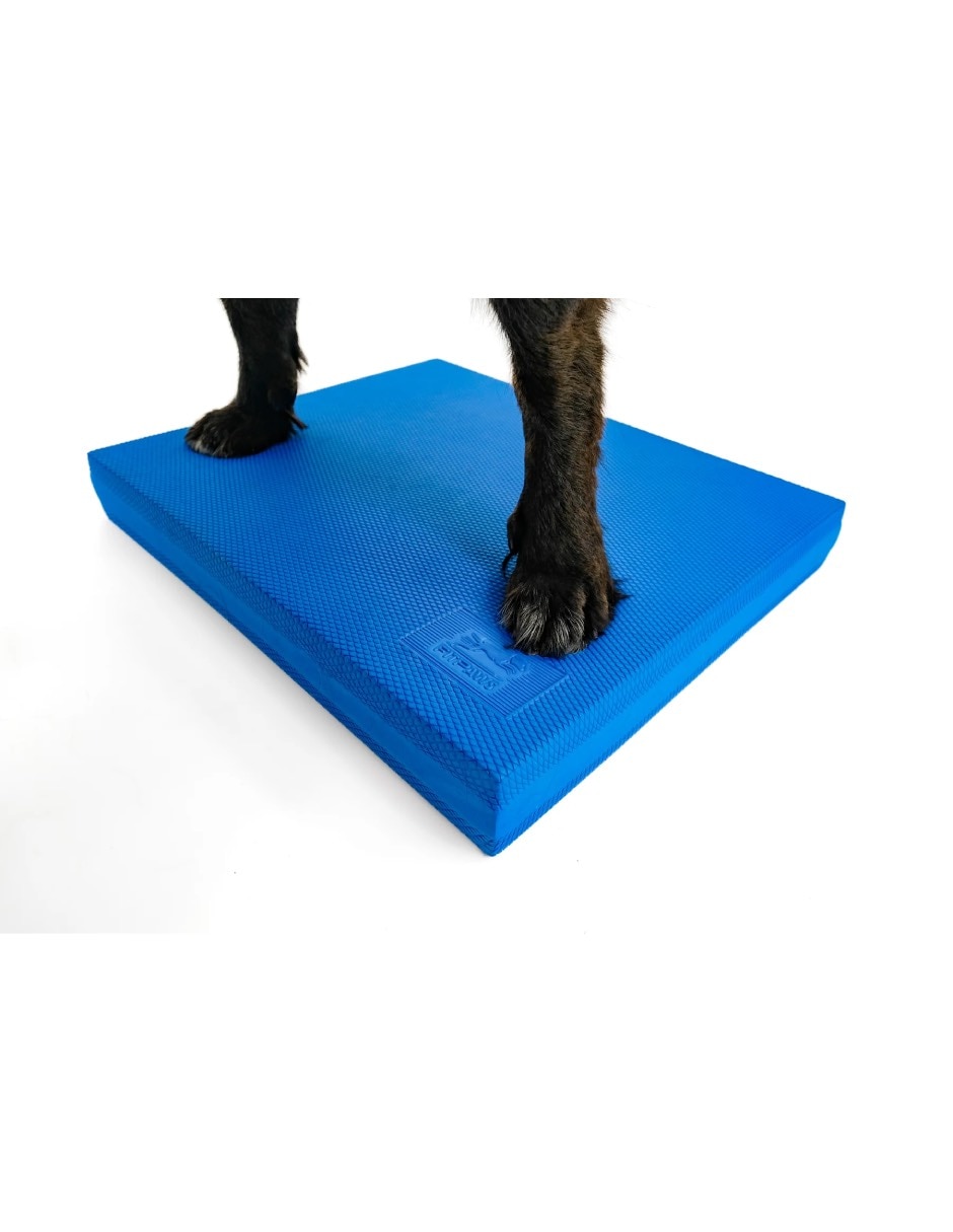 Kit de bienestar para mascota