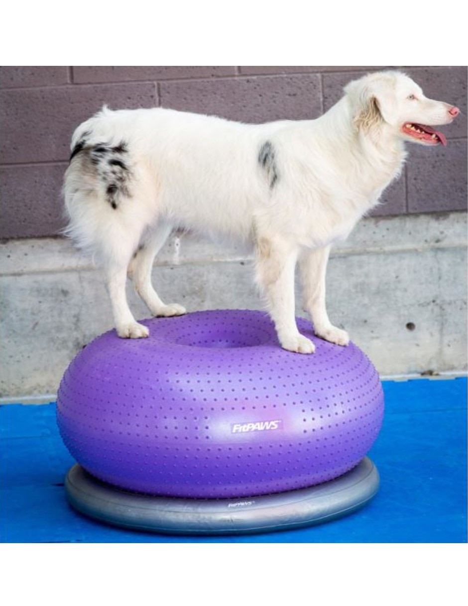 Kit de bienestar para mascota