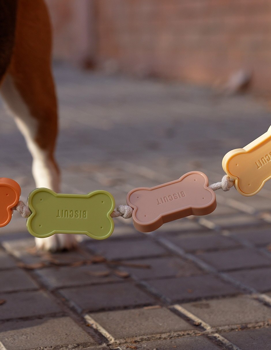 Correa de plástico para perro 10