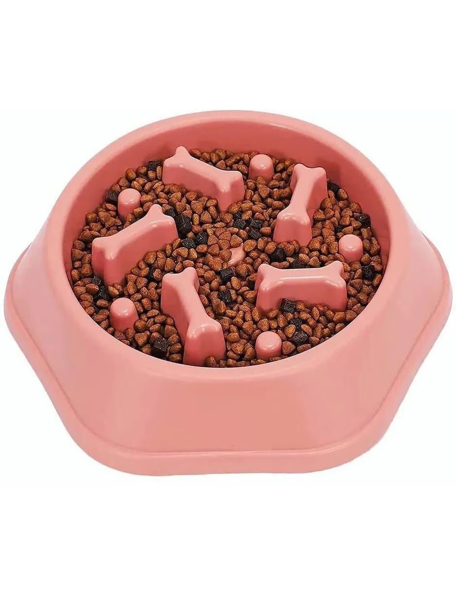 Plato para Perro