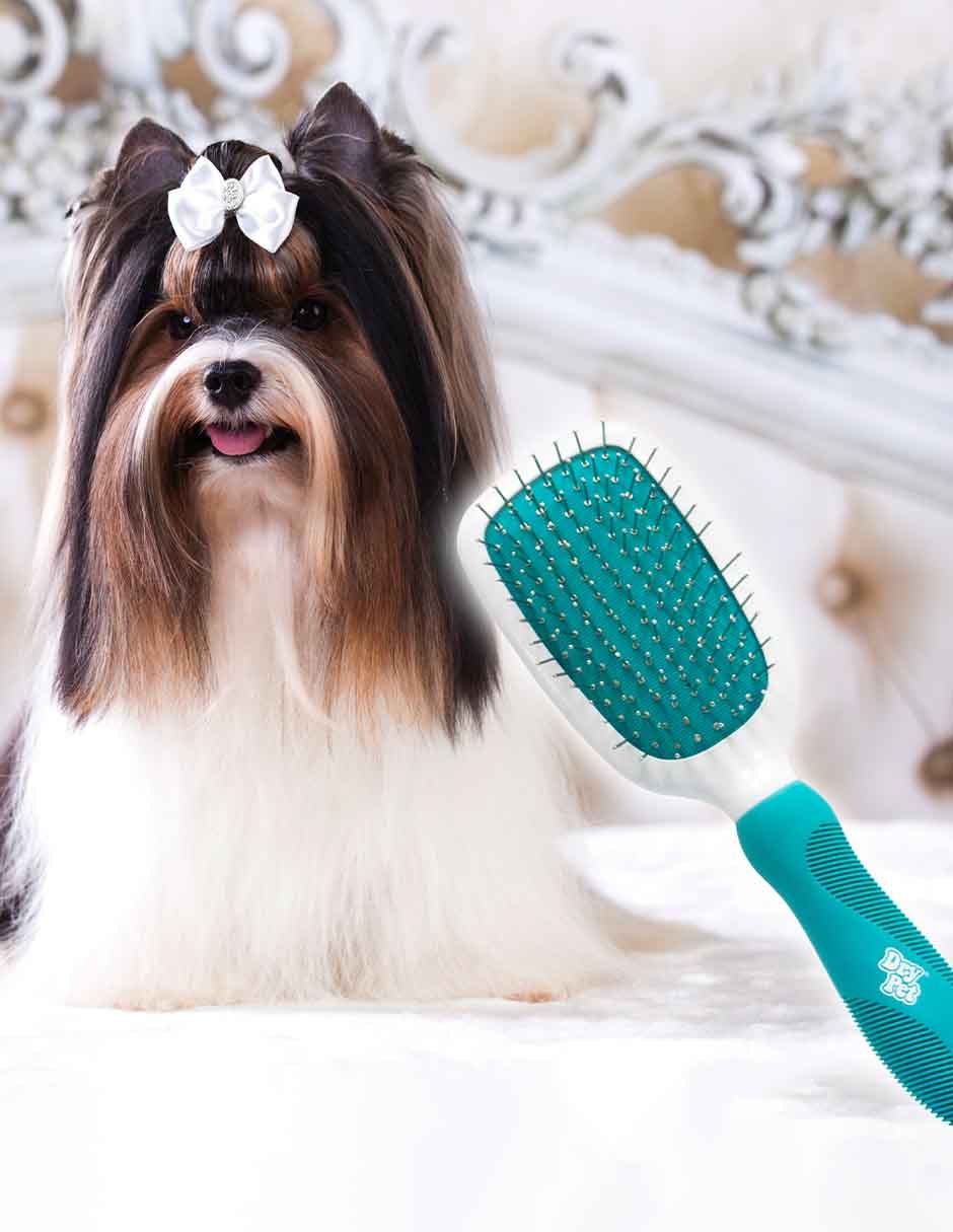 Cepillo de Plástico para Perro y gato 4