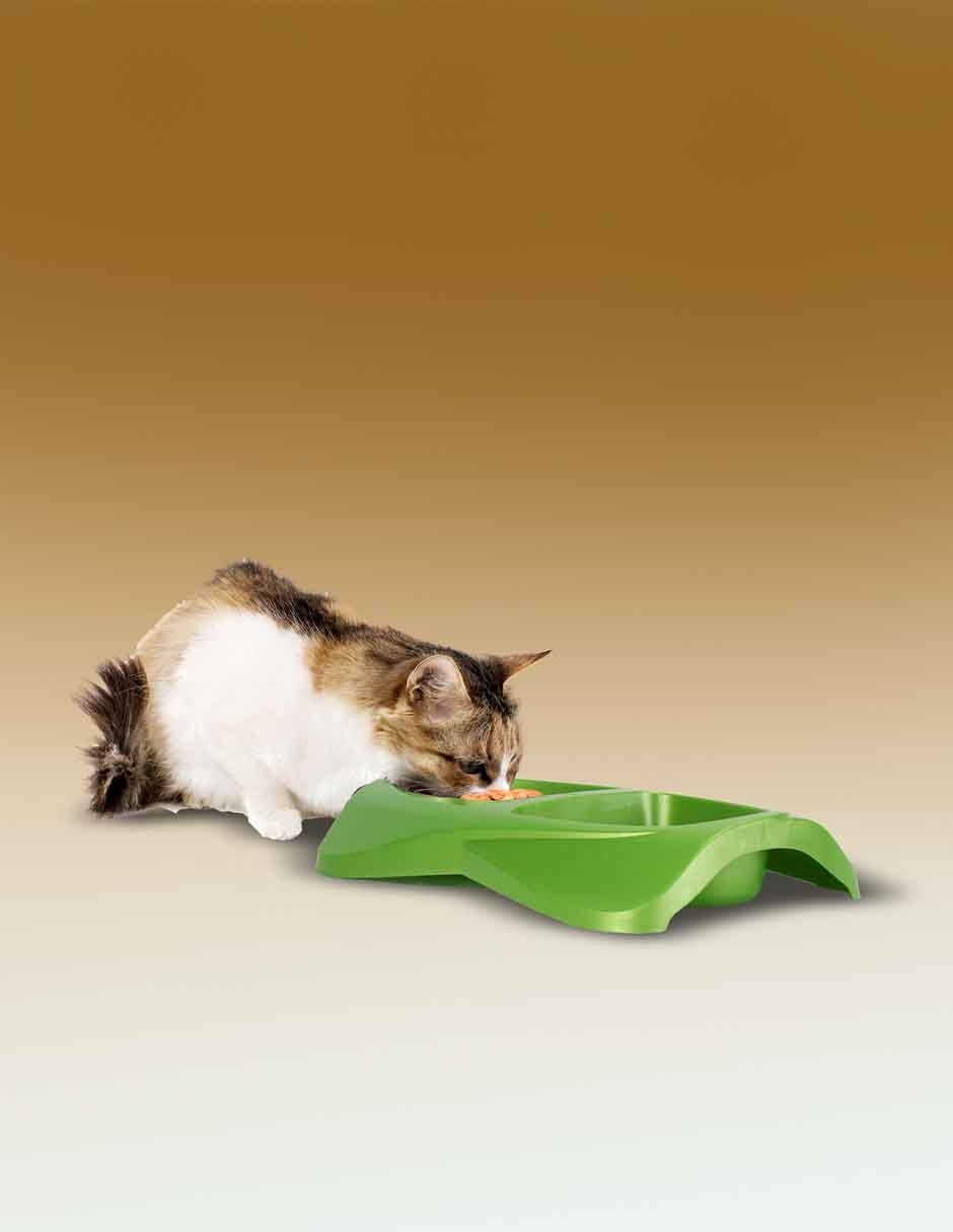 Plato/Comedero para Perro y gato 3