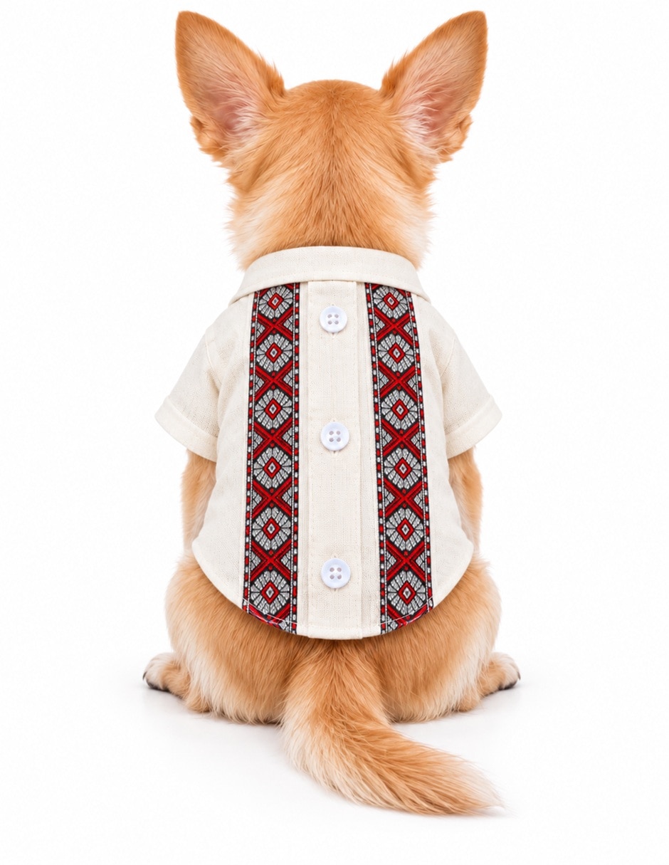 Playera para Perro y gato CTGLR86868