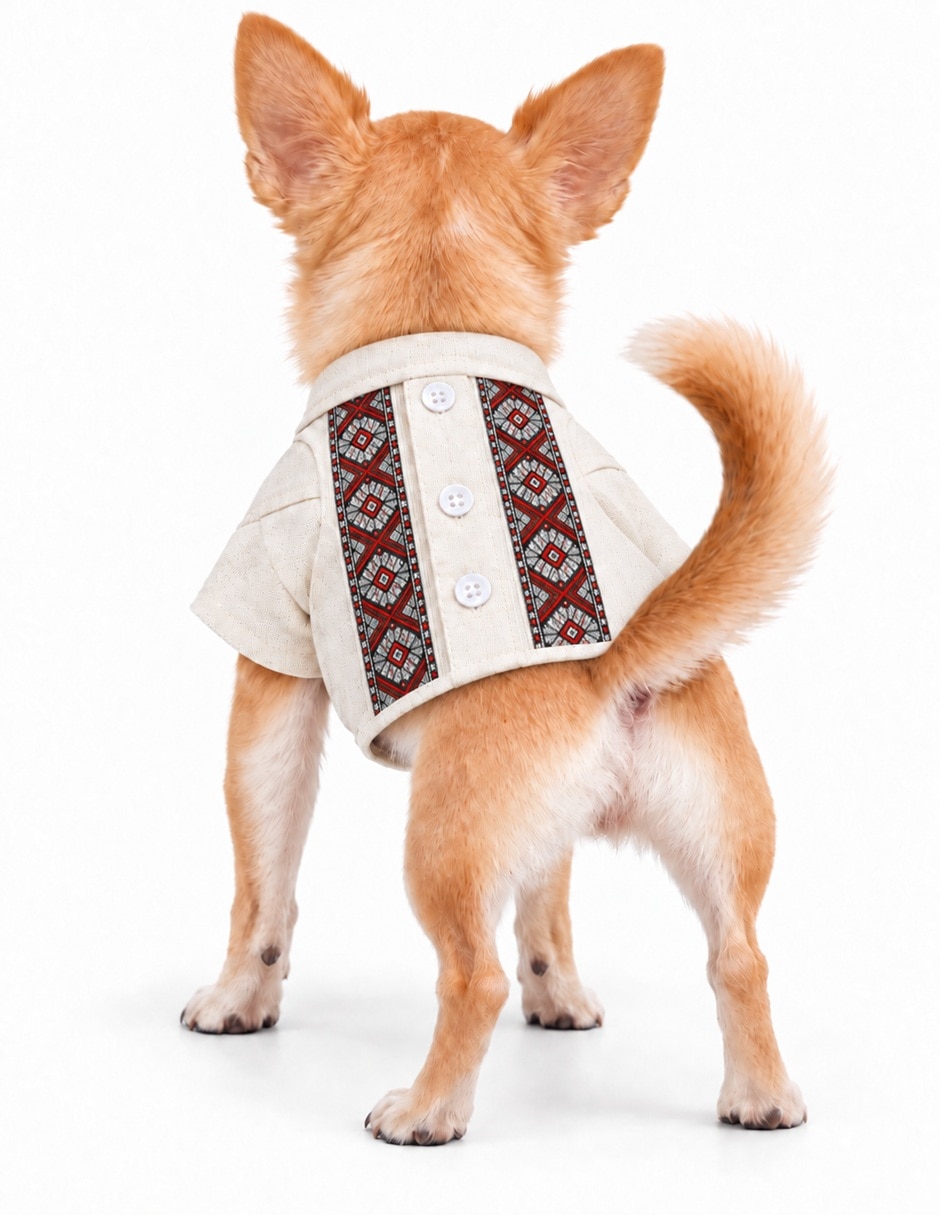 Playera para Perro y gato CTGLR86868